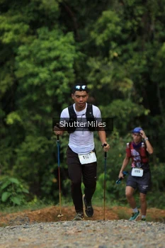 Runner Photo 2538282