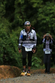 Runner Photo 2538496