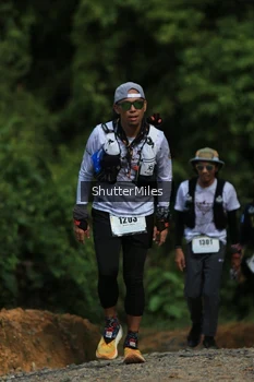 Runner Photo 2538504