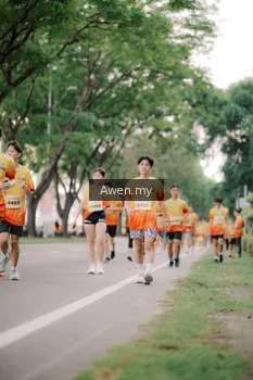 Runner Photo 2538826