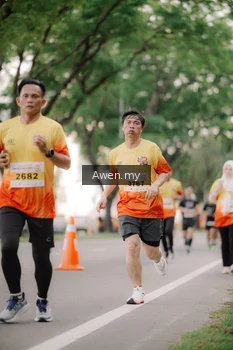 Runner Photo 2539257