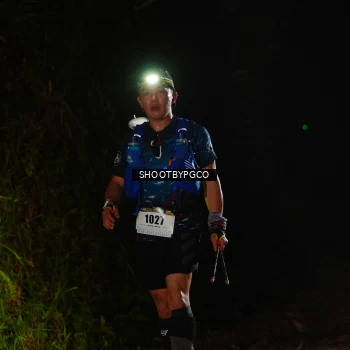 Runner Photo 2539696