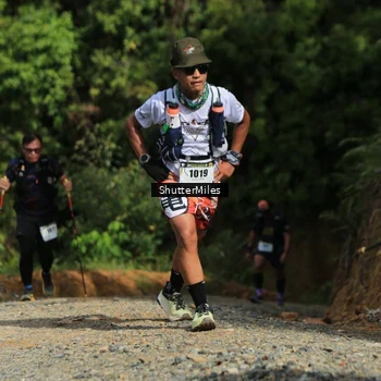 Runner Photo 2540054