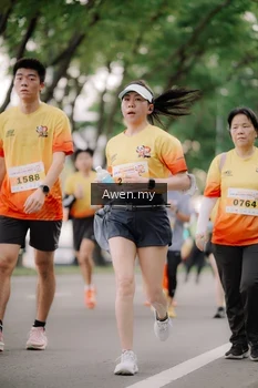 Runner Photo 2540161