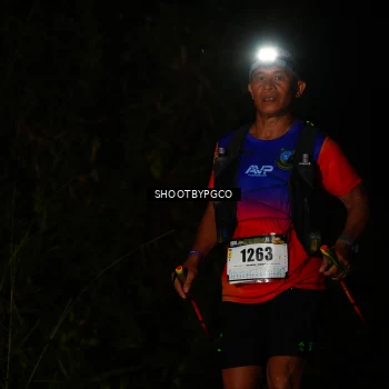 Runner Photo 2540235