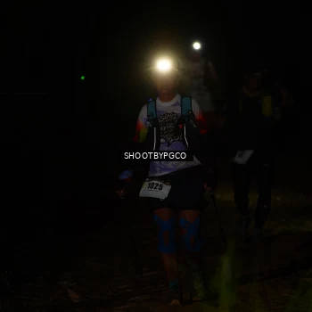 Runner Photo 2540381
