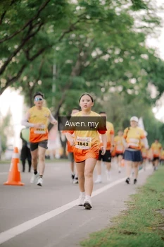 Runner Photo 2540877