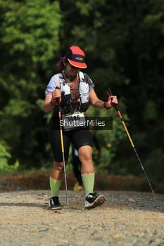 Runner Photo 2542782
