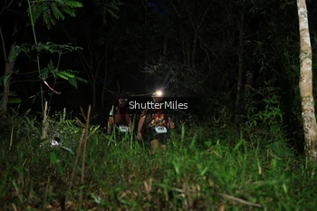 Runner Photo 2544888