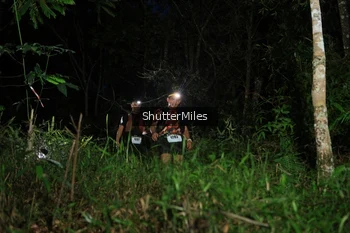 Runner Photo 2544894