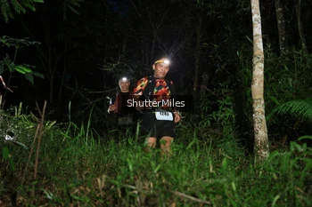 Runner Photo 2544897