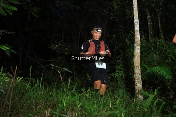 Runner Photo 2544906