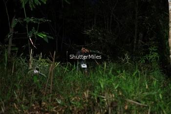 Runner Photo 2544911