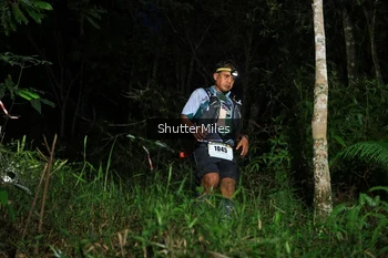Runner Photo 2544919