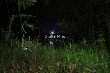 Runner Photo 2544925