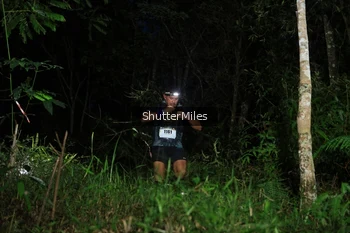 Runner Photo 2544928