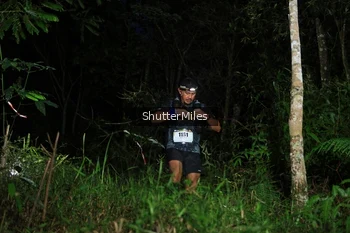 Runner Photo 2544939
