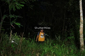 Runner Photo 2544942