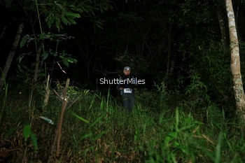 Runner Photo 2545048