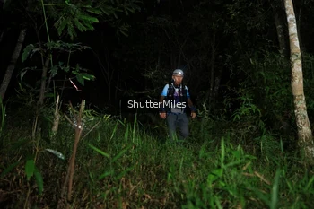 Runner Photo 2545049