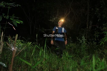 Runner Photo 2545055