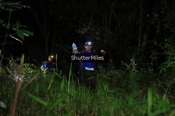 Runner Photo 2545073
