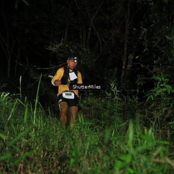 Runner Photo 2545188