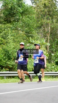 Runner Photo 2546614
