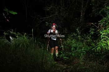Runner Photo 2546652