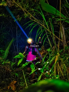 Runner Photo 2558141