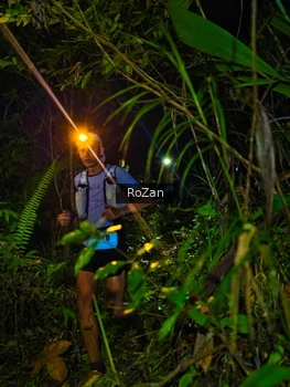 Runner Photo 2561564