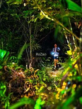 Runner Photo 2561658
