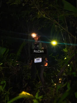 Runner Photo 2561690