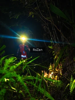 Runner Photo 2561729