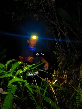 Runner Photo 2561853