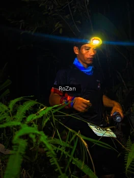 Runner Photo 2561870