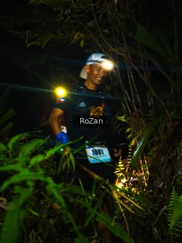 Runner Photo 2561902