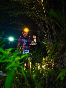 Runner Photo 2561940