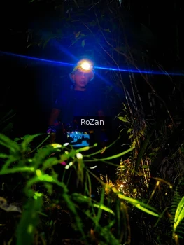 Runner Photo 2562033