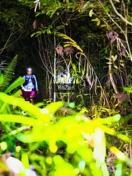 Runner Photo 2562084