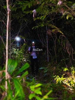 Runner Photo 2562113