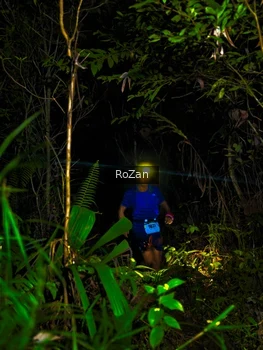 Runner Photo 2562152