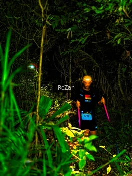 Runner Photo 2562169
