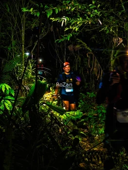 Runner Photo 2562241