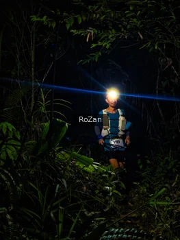 Runner Photo 2562254