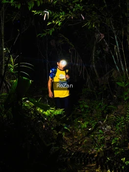 Runner Photo 2562271