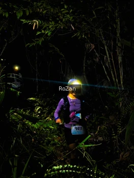 Runner Photo 2562345