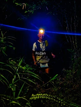 Runner Photo 2562415