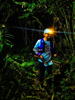 Runner Photo 2562447