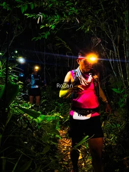 Runner Photo 2562484